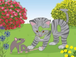 Animaux proches & du quotidien