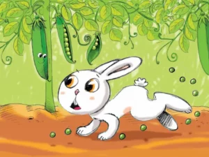 Plantes & Jardinage