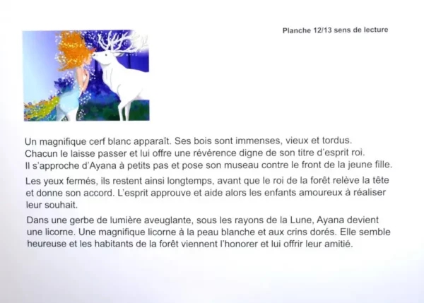 Texte du kamishibai petite corne sur l'amour et l'interdit. Une licorne découvre le monde humain et sa magie.