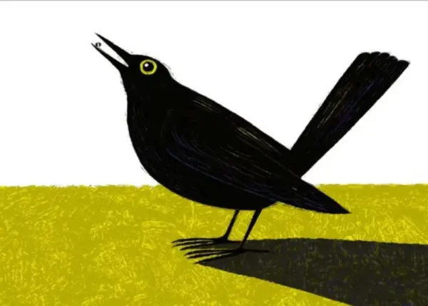 Le chat raconté aux oiseaux – Image 7