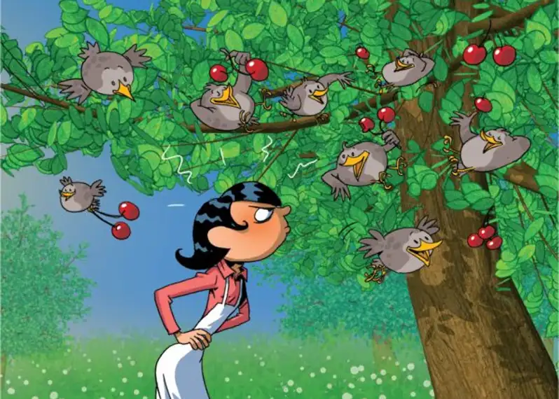 Histoire facile à raconter : Cocorico. Ce conte randonnée de ferme avec un coq est idéal pour une première lecture enfant.