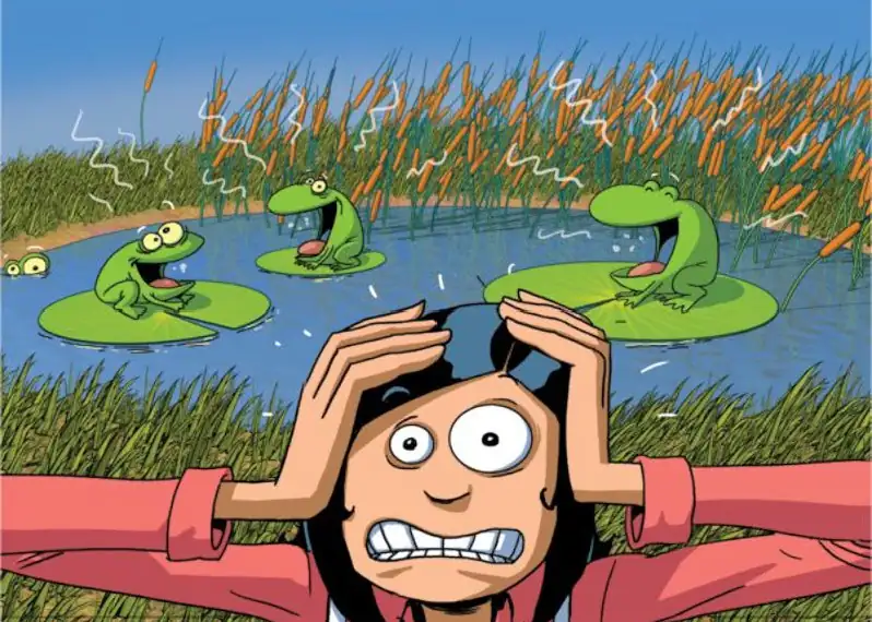 Le coq n'a pas chanté Cocorico ! Ce kamishibaï est un conte randonnée parfait pour l'école et la lecture en famille.