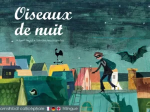 Histoire pour ne plus avoir peur du noir. Oiseaux de nuit, un kamishibai sur la nuit et la peur de dormir a un graphisme époustouflant.